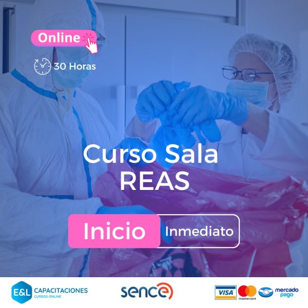 Curso REAS