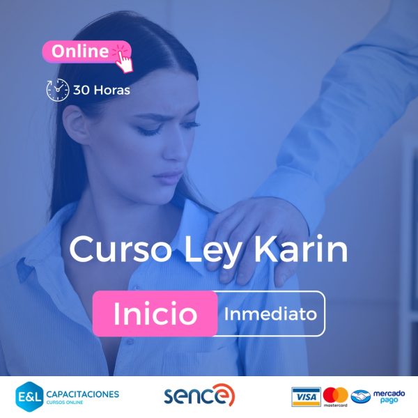 Ley Karin